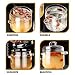 SDdPulse Klarglas-Kochtopf, Stielkasserolle mit Deckel, kleiner Herdtopf für Milch, Nudeln, Suppe, 350 ml, transparent, 14 x 11 x 11 cm