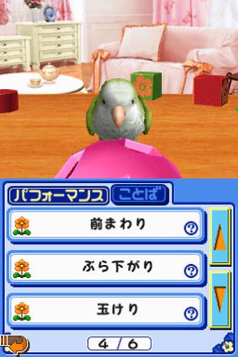 Amazon | おしゃべりオウム | ゲームソフト