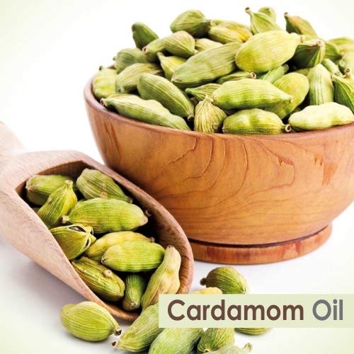 Image of Crysalis Cardamom Oil 50 ml (1.69 fl oz) - Warm Spice Aromatic Oil for Skincare, Haircare, DIY Formulations, Soaps & Cream Blends