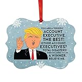 Andaz Press President Donald Trump Fancy Frame Keepsake Christmas Ornament Gag Gift, Account Executive, 1-Pack, Funny Novelty Metal Holiday Birthday Present Ideas Republican Political Satire