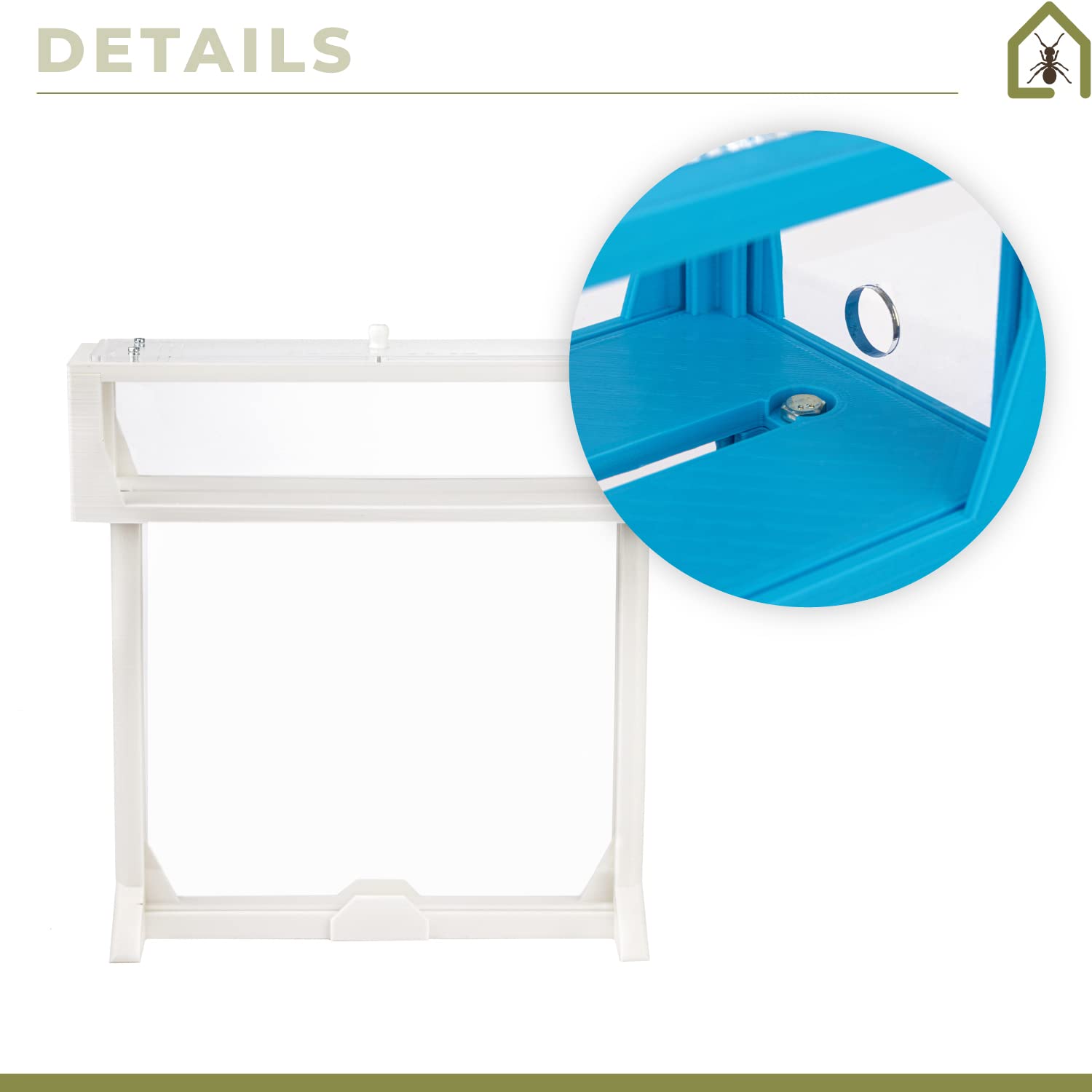 Anthouse.es - Kit Hormiguero Acrílico en Forma de T - Sándwich y Caja de Forrajeo con Tapa Retirable - Hormiguero con Hormigas Vivas Incluidas - Hormiguero de 25x20x1,5 cm - Transparente - 4