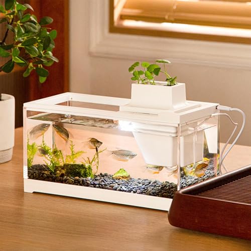 Pecera mini tanque para peces compacta que soluciona la falta de espacio en casa 5