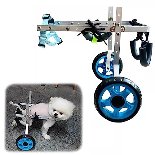 Fauteuil roulant pour animaux handicapés avec support arrière-train rééducation taille M