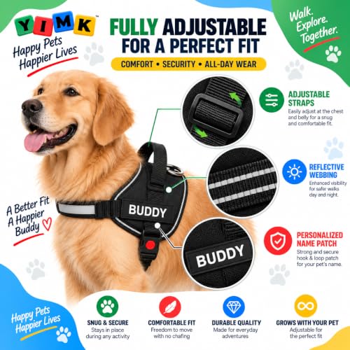 Image of Black Dog Vest Harness with Leash - No Pull, Reflective & Adjustable