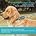 Dazzber Martingale Collar Dog Collar No Pull Pet Collar Heavy Duty Dog Martingale Collars Silky Soft with Unique Geometric Pattern for Medium and Large Dogs (Large, Turquoise)