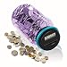 HeQiao Digital Coin Bank Auto Counting Money Savings Jar for US Coins (Purple)