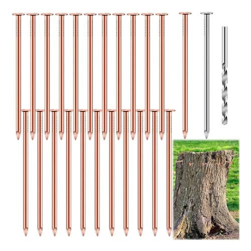 Clavos de Cobre Puro de 3.5 Pulgadas Conjunto para Eliminación de Tocones de Árbol 25 Piezas miniatura 4