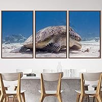 3 Piece Framed Canvas Wall Art Turtle Under The Surface Canvas Prints Home Artwork Decoration for Living Room,Bedroom - 16