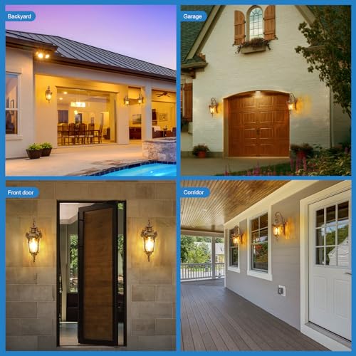 Outdoor Wall Lights, Waterproof Aluminum Porch Wall Light for Outside House, Patio, Yard, Garden, Gold Gooseneck Exterior Wall Sconce, Hardwired Outdoor Acorn Shape Lantern, Water Ripple Glass, 2pack