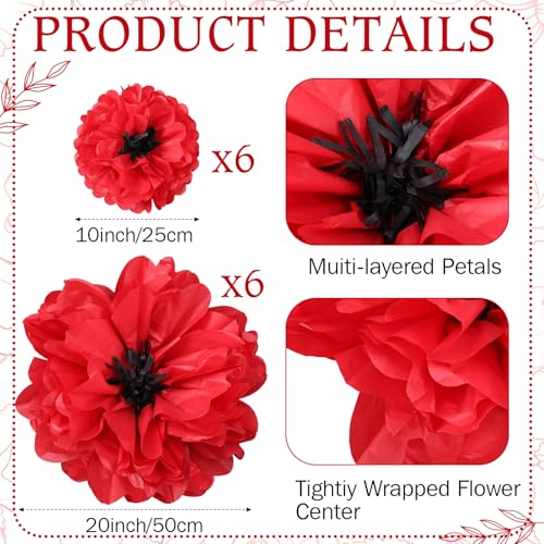 Image of TaoBary Large Colorful Tissue Paper Flowers Giant Fiesta Paper Pom Poms Classroom Wall Decor Mexican Birthday Party Decorations Wedding Backdrop(20 inch and 10 inch,Red, Black,12 Pcs)