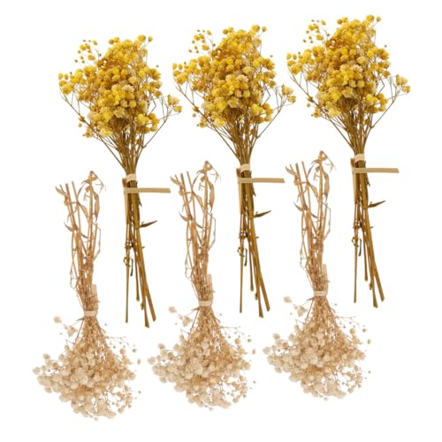 Ramo de 6 flores secas naturales Babys Breath