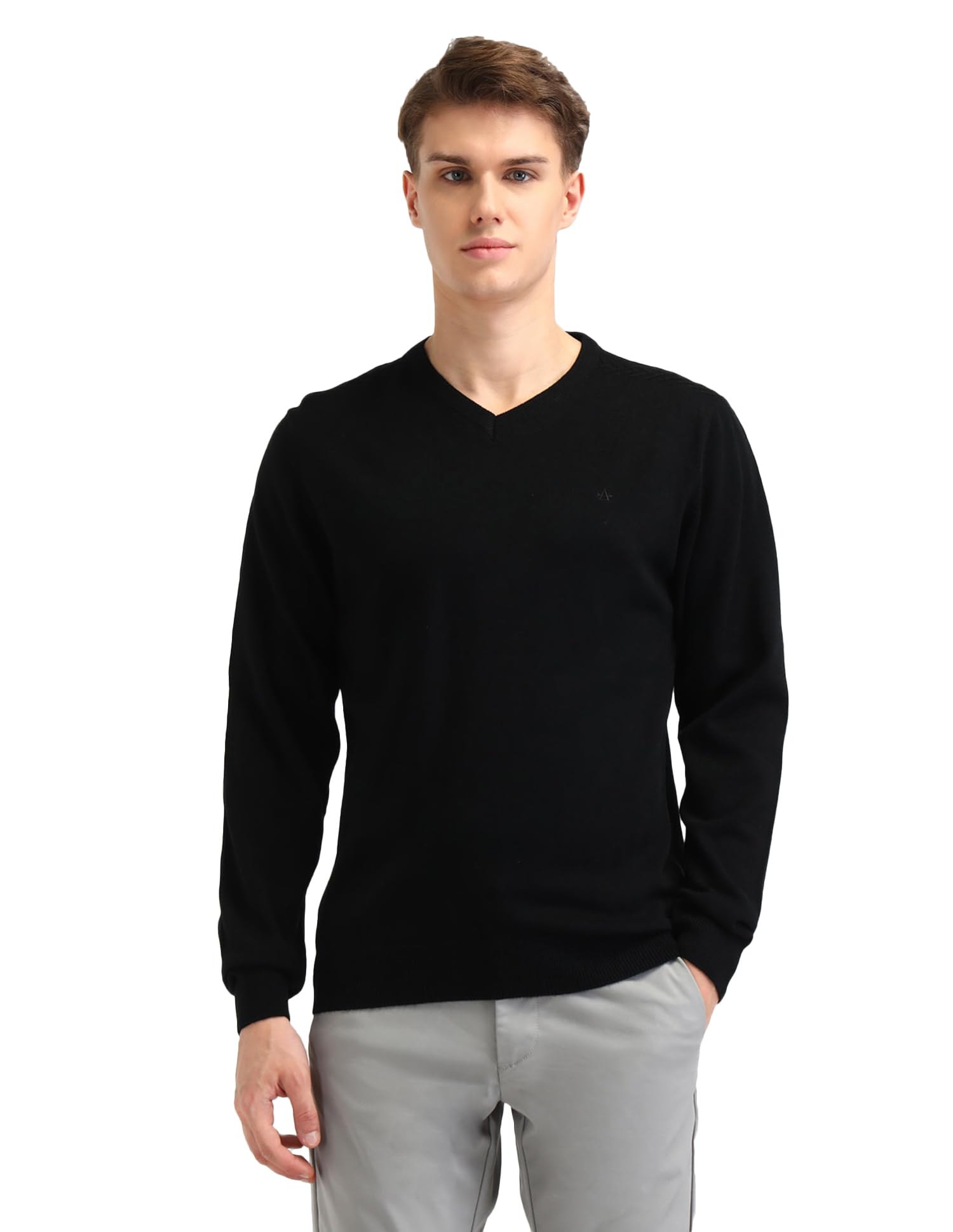 Mens Black Solid V-Neck Long Sleeve ClassicCotton RegularFit Sweater-image-10
