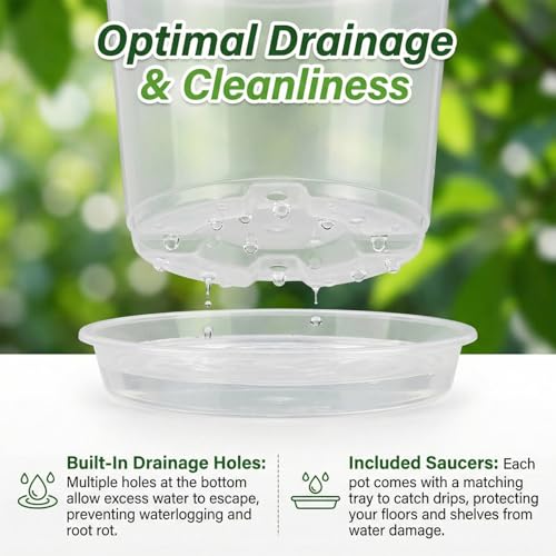 Pots de fleurs transparents 15cm : lot de 15 avec soucoupes pour le drainage