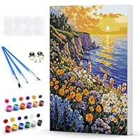 NEWENMO Malen Nach Zahlen Set - Dorf Am Meer Motiv Mit Rahmen 30x40cm