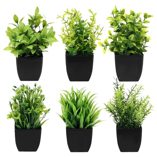 Royouzi 6 Piante Artificiali, Piccole Mini Piante Artificiali In Vaso, Vasi da Fiori Artificiali, Adatte per Arredare Uffici, Camere da Letto, Terrazze, Soggiorni e Bagni (nero)