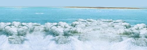 Miniatura 3 de Mantequilla corporal del Mar Muerto con leche y miel, suavizante de piel gruesa y cremosa que deja la piel sedosa y refrescada.