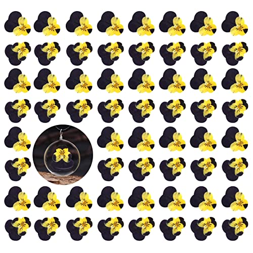 60 flores secas prensadas de pensamiento para resina miniatura 1