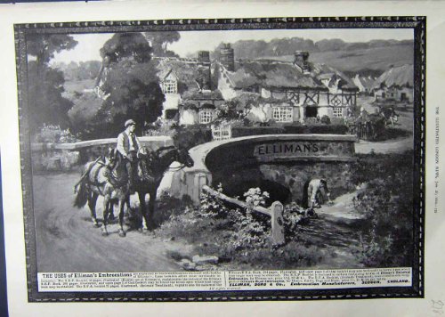 original old antique victorian print CHEVAUX 1912 DE SLOUGH D'EMBROCATION DE LA PUBLICITÉ ELLIMANS original old antique victorian print CHEVAUX 1912 DE SLOUGH D'EMBROCATION DE LA PUBLICITÉ ELLIMANS