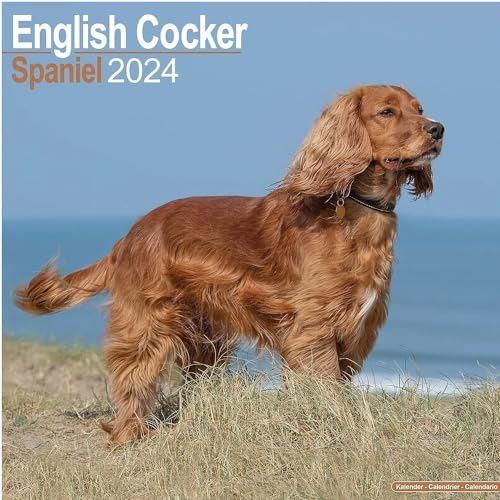 English Cocker Spaniel Calendar 2024 | Square Dog Breed Wall Calendar - 16 Month