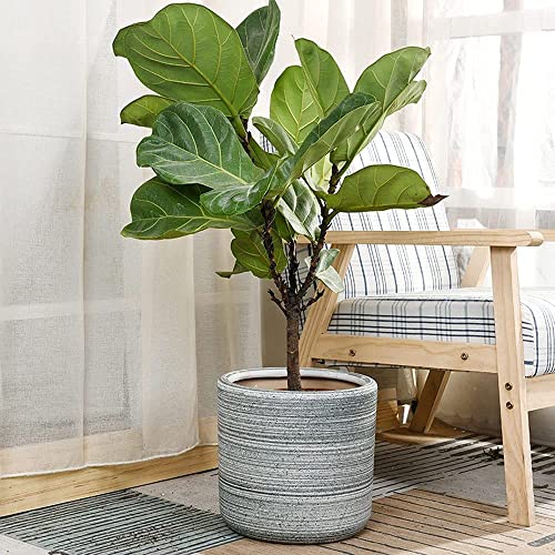 Grand pot de fleurs en céramique de 11 pouces avec trous de drainage