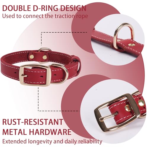 Robustes Hundehalsband aus Echtem Leder –vVerstellbares Design,Weich und Strapazierfähig mit Metallschnalle und D-Ring für Kleine, Mittlere und Große Rassen (Rot, L)