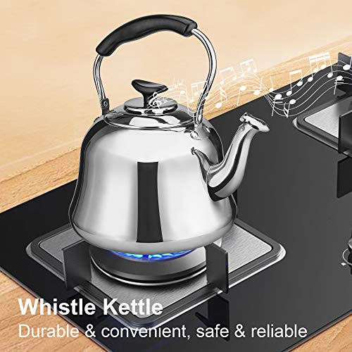 2 Liter Whistling Tea Kettle, ENLOY Stainless Steel Stovetop Teakettle Teapot, Bakelite Insulated Handle, Mirror Finish