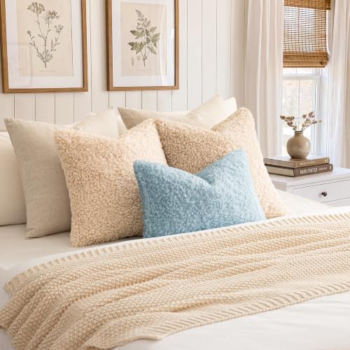 Image of Foindtower Set of 2 Curly Teddy Wool Pillow Covers Decorative Boucle Textured Lumbar Throw Pillow Faux Fur Sherpa Pillowcases Sheepskin Fuzzy Cushion Case for Sofa Bedroom Car 12 inchx20 inch Sky Blue