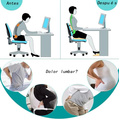 El mejor review de Silla ortopédica los diez mejores. 11 Imagen adicional