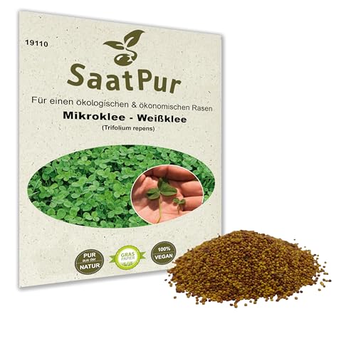 Mikroklee Microclover Miniklee Zwergklee Microklee Saatgut für...