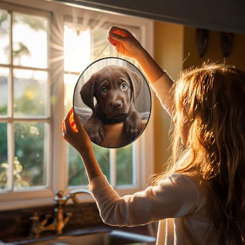 Atrapasueños de cristal para ventanas apagadas, decora con la luz de este labrador 6