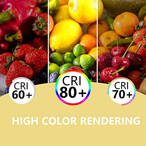 Led Corn Light Bulb 100W Equivalent 16W E26 Led Corn Light Bulb, Light Bulb 6000K Daylight, 1600 Lumen Super Bright T10 Led Bulb For Desk Lamp Pendant Lights Aquarium, Non-Dimmable, Pack Of 4 #TOP2