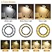 iVict USB Clip on Ring Light with 3 Color Modes, 10 Brightness Levels, Eye Protection, 360° Flexible Gooseneck LED Lamp for Desk Headboard and Video Conferencing