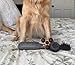 PAW WAVE PERK Percussion Pet Massager for Dogs and Cats Designed to Help Massage Muscle Tightness, Improve Mobility and Recovery