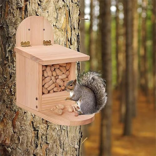Mangeoire à écureuils en bois noble, accessoire de jardin durable