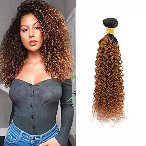 Ombre Kinky Curly Human Hair Bundle 1B/30 Brown Human Hair Brazilian Hair 8A Grade Soft Human Hair Extension 1Pcs/100g (12 Inch)…