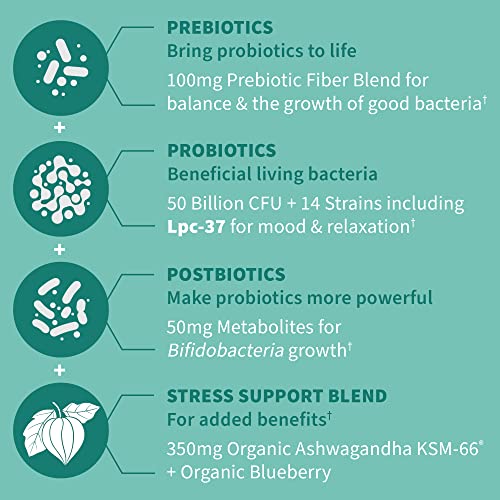 Garden Of Life Dr Formulated Calm Daily 3-In-1 Complete Probiotics, Prebiotics & Postbiotics With Ashwagandha - Pre + Pro + Postbiotic Supplement For Immune, Digestive & Mood Support - 30 Day Supply #TOP2