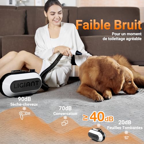 LIGIANT P40 Hundefön Blower, Ultra-Leise (40 dB Katzen-Modus), 3-in-1 Düsen, Einstellbare Geschwindigkeit & Temperatur, Negativ-Ionen-Technologie, Tragbar & All-in-One-Aufbewahrung für Hunde & Katzen
