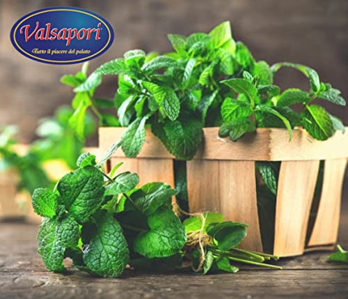 Sonnengetrocknete Pfefferminze - 100 gr Beutel | Vegan Glutenfrei | Getrocknete Minze für Menthol-Tee-Aufgüsse | 100% natürliche aromatische Kräuter aus sizilianischem Anbau erster Qualität (Minze)