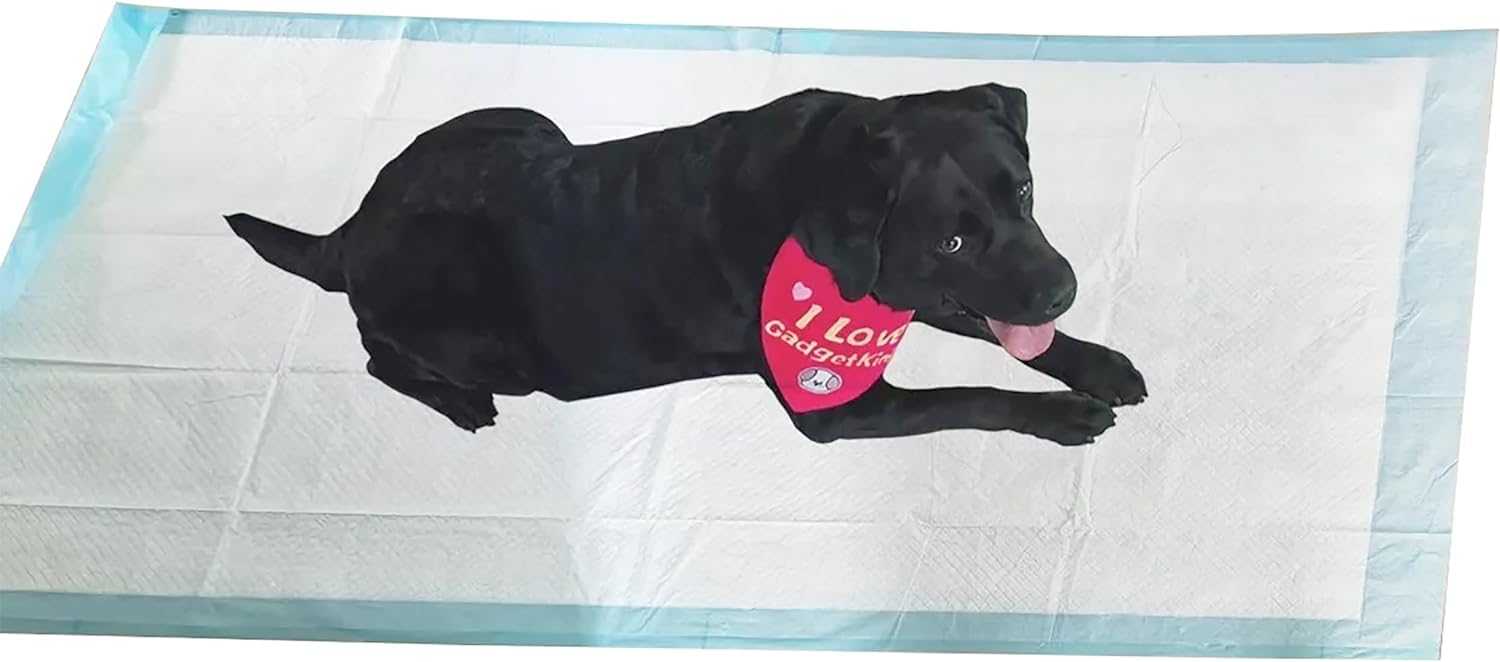 Gadgetking As Picture 20 Pack Extra Large Puppy Pads Xxl 160Cm Training Toilet Pee Wee Mats Floor Dog Xl Train Sheet High Absorbency Absorbent Leakproof Anti Slip Super Size Protection Protector