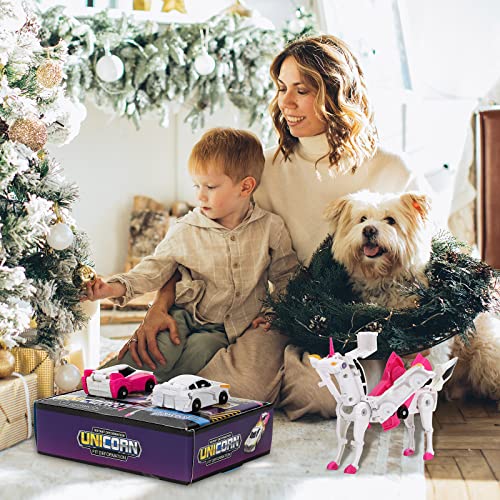 Dahom Transformin Robot, Toddler Transforming Action Figure Robot Vehicle Set, 2Pcs Transforming Car-Robot For Kids - Magnetic Toys With Durable Connectors, Automatically Car Toy #TOP6