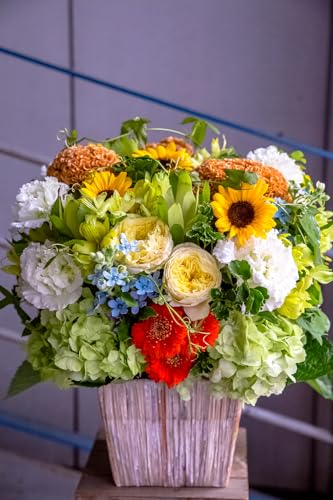 t[Xg t[AWg LLTCY CG[&IW b܎܃fUCi[ďC ԑ   t[ Mtg v[g 蕨 a j LO ސEj F Nx̂܂