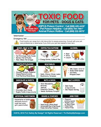 Best Toxic Foods For Dogs Poster