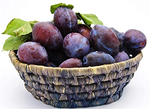 Mariani | Pitted Prunes | Dried Fruit | Healthy, Vegan, Gluten Free Snack For Kids & Adults | No Sugar Added | 32 Ounces (Pack Of 1) - Resealable Bag #TOP5