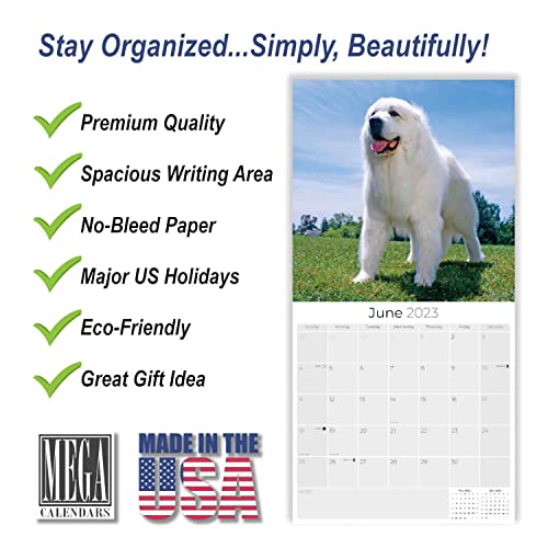 2022 2023 Great Pyrenees Calendar - Dog Breed Monthly Wall Calendar - 12 X 24 Open - Thick No-Bleed Paper - Giftable - Academic Teacher's Planner Calendar Organizing & Planning - Made In Usa #TOP1