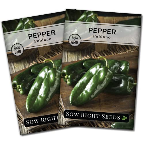 Sow Right Seeds - Poblano Pepper Seeds for Planting - Non-GMO Heirloom Packet with Instructions to Plant a Home Vegetable Garden - Hot Ancho Chile Variety to Grow Spicy and Abundant (2)