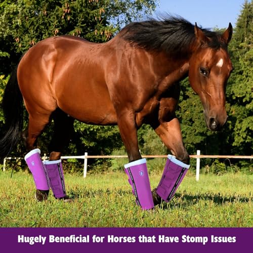 Image of Harrison Howard Loose-Fitting Horse Fly Boots UV-Protective, Breathable, Tear-Resistant Fine Mesh Leggins Stay-on Comfortable Fly Boots with Ultra-Soft Wool Trim (Set of 4) Purple Cob (Medium)