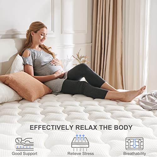 JINGWEI Queen Mattress, 12 Inch Innerspring Hybrid Mattress in a Box, Individually Pocket Coils for Motion Isolation & Cool Sleep, Queen Bed for Back Pain, Medium Firm, Gray