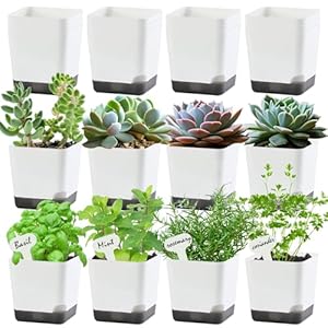3 inch Small Nursery Pots, Seedling Pots, 20 Pack Plastic Plant Pots for Indoor Outdoor Plants, Decorative White Succulent Flower Pots with Drainage Holes and Saucers