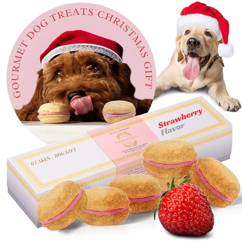 Bonne et Filou Dog Treats, Strawberry Cakes, Dog Birthday Gift for Medium to Large Breed – Gourmet Macaron Cakes, Healthy & Delicious Human Grade Snacks – 6 Count
