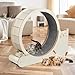 Messe mit günstig Kaufen-DFENG 3 in 1 Katzenlaufrad Multifunktional Katzen Laufrad L Großes 100cm Durchmesser Laufrad Für Katzen, mit Griffpads Sperrvorrichtung TPE Silent Wheel, Katzenlaufrad für Katzen 20-30kg, Cat Wheel